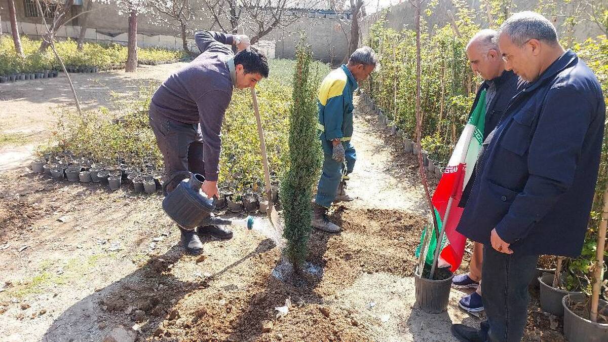 برگزاری پویش درختکاری «به یاد سرو، به نام ایران» در بوستان های منطقه ۵