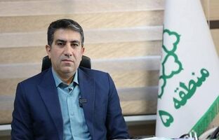 تداوم توسعه سبز در سایه پایداری