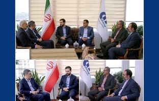 بازدید سرزده رئیس‌کل بیمه مرکزی از بیمه دانا
