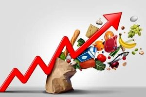 افزایش ۴.۹ درصدی تورم کالا در یک ماه؛ نگرانی برای آینده!