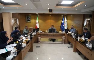 جرجانی: از ظرفیت معادن کوچک برای ایجاد اشتغال و ارزش افزوده استفاده کنیم