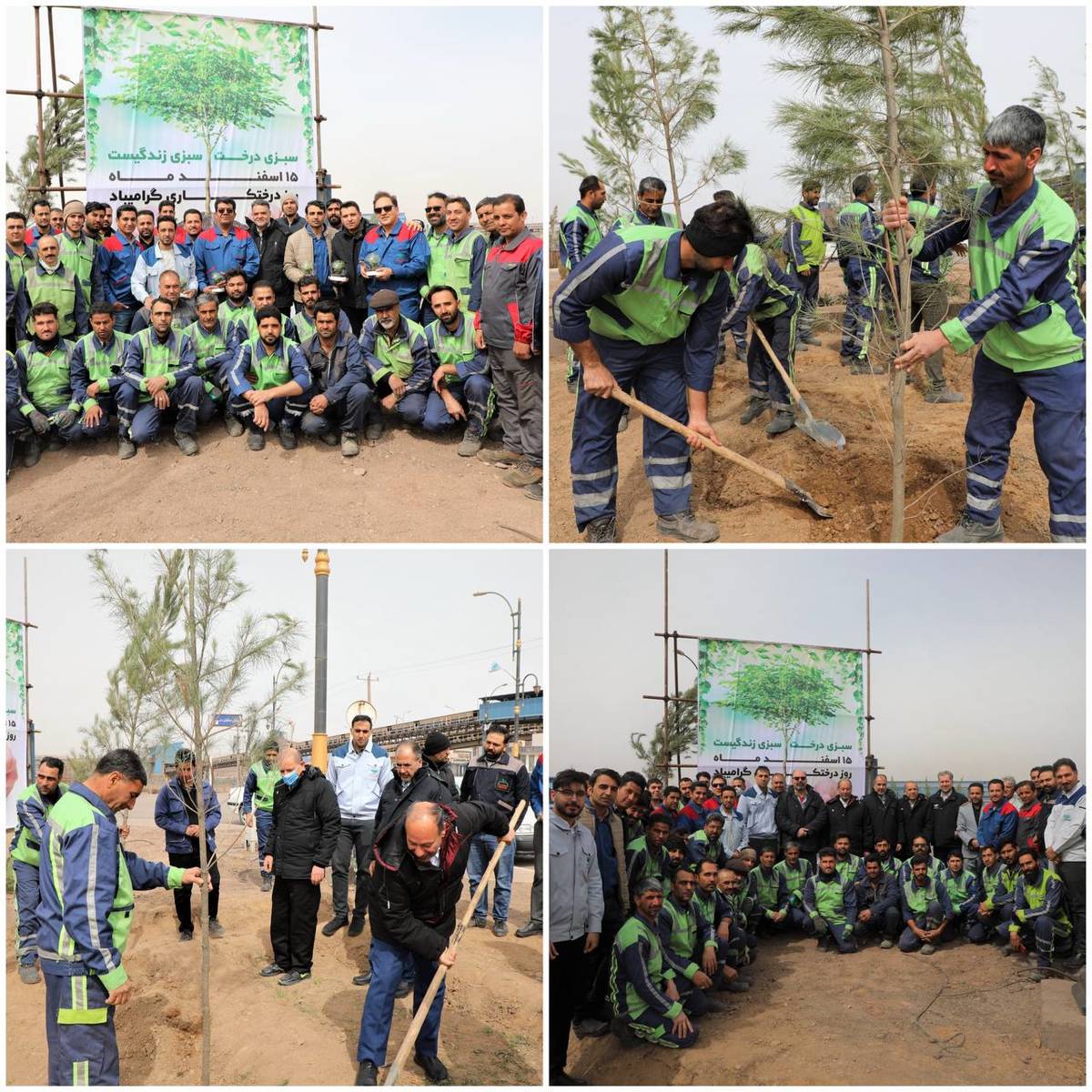 برگزاری مراسم کاشت نهال با حضور معاونین و مدیران شرکت فولاد سنگان