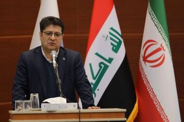 افزایش مصرف داخلی، صادرات سیب‌زمینی را تا پایان سال متوقف کرد