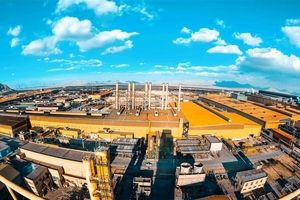 گواهی سپرده گندله؛ مسیر جدید تأمین مالی تولید