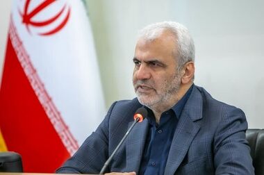 هیچ بحثی در ستاد مبارزه با موادمخدر درباره کشت خشخاش وجود ندارد/ تشریح گروه‌بندی جدید در طرح تحول درمان
