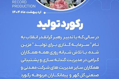  گل گهر در توسعه امروز و در آینده اقتصاد کشور نقش کلیدی دارد