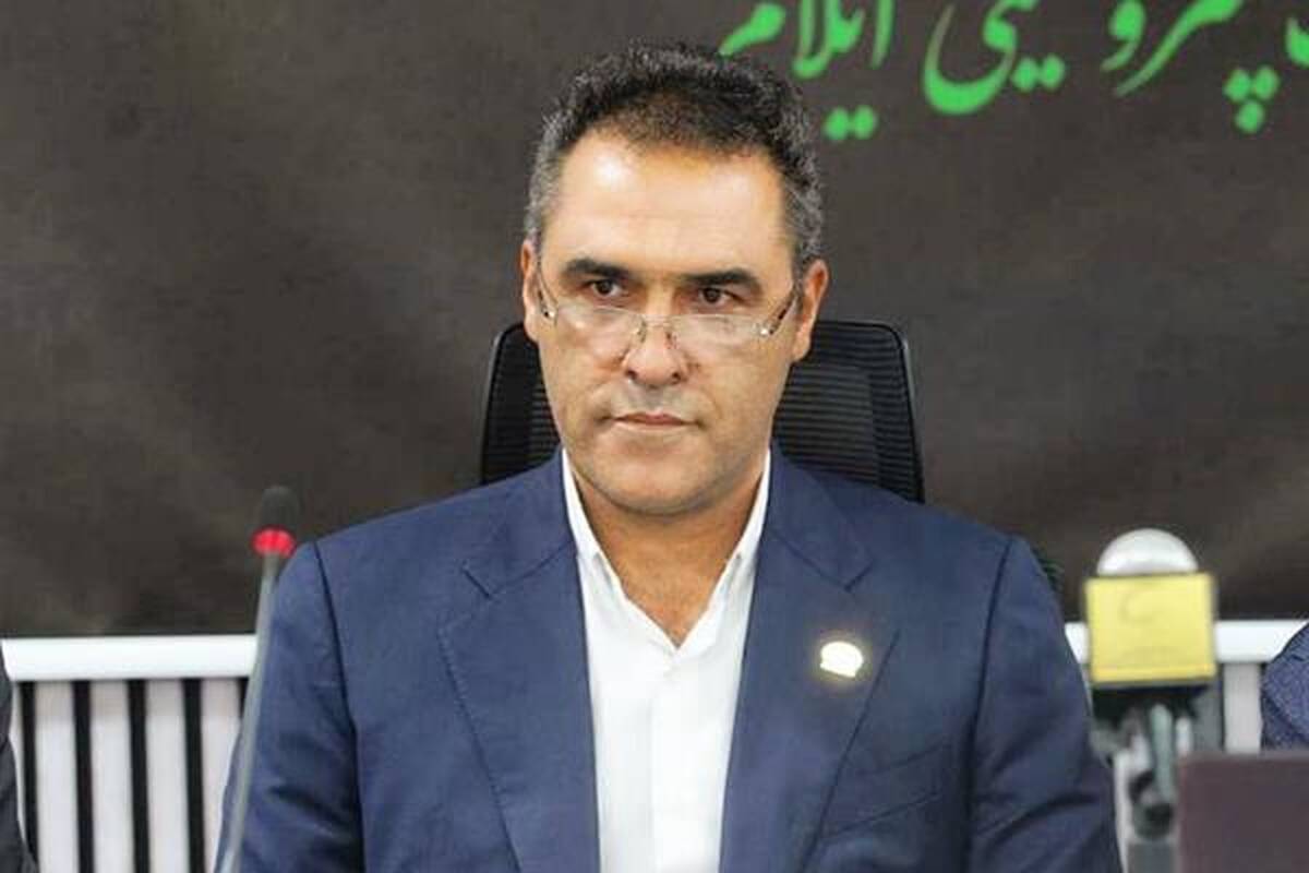 مدیرعامل پتروشیمی ایلام منصوب شد
