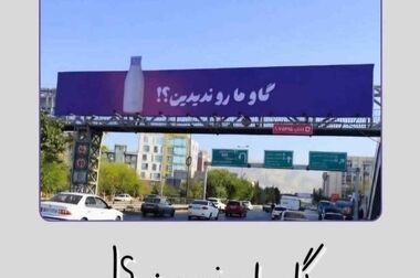 پگاه زنجان با اتکا به شفافیت مالی و محصولات سلامت‌محور به بازار سرمایه پیوست