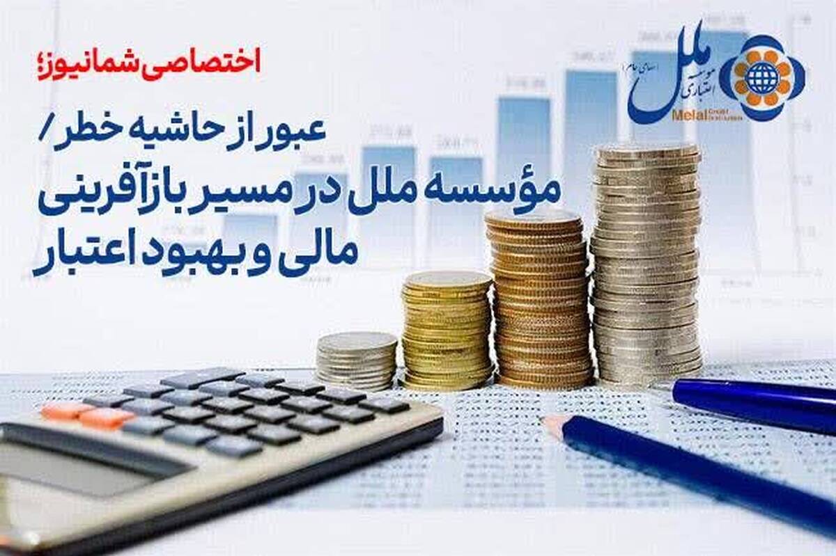 عبور از حاشیه خطر/ مؤسسه ملل در مسیر بازآفرینی مالی و بهبود اعتبار