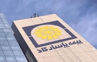 رشته بیمه زندگی، پرچمدار درآمدزایی «بپاس»