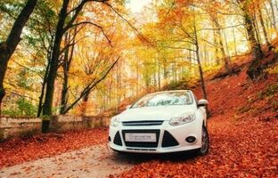امکان ثبت آنلاین خسارت برای بیمه‌گزاران تجارت‌نو فعال شد