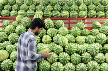 تعطیلی تمامی میادین و بازارهای میوه و تره‌بار در روز ۲۲ بهمن ماه