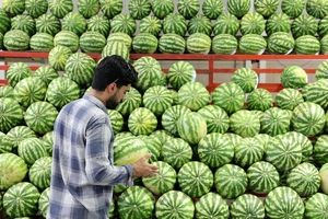 تغییر ساعات میادین و بازارهای میوه و تره‌بار به مناسبت شب یلدا