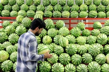 افزایش نظارت‌های سازمان میادین در ماه مبارک رمضان  و ایام عید