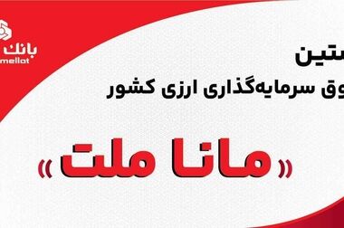 صیدی: منابع ارزی مردم در اقتصاد رسوب کرده است