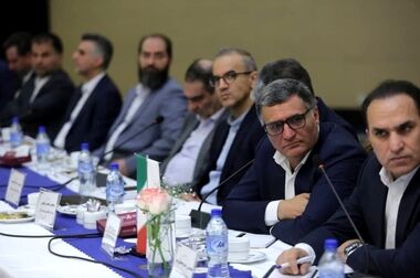 مدیرعامل پتروشیمی ایلام منصوب شد