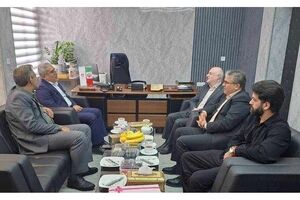 تأکید بر شناسایی ظرفیت‌های معدنی فارس در نشست مدیرکل زمین‌شناسی جنوب کشور با نمایندگان مجلس