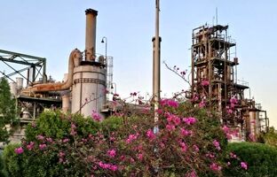 گرمای تیرماه هم مانع رشد تولید و افزایش درآمد پتروشیمی فارابی نشد