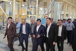 آخرین وضعیت پیشرفت طرح فولاد ازنا بررسی شد