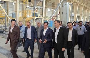 آخرین وضعیت پیشرفت طرح فولاد ازنا بررسی شد