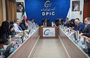 برگزاری نخستین ممیزی مدیریت ریسک در پتروشیمی دهدشت