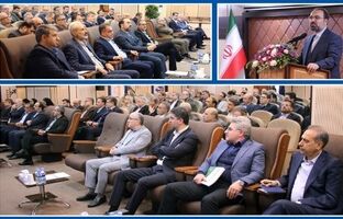 ارتقاء رضایت مشتریان و سودآوری، اهداف اصلی بیمه دانا