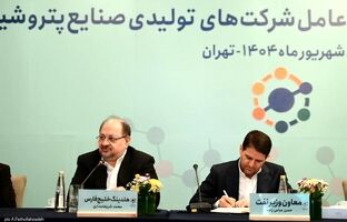  خصوصی‌سازی واقعی تنها راه توسعه صنعت پتروشیمی است