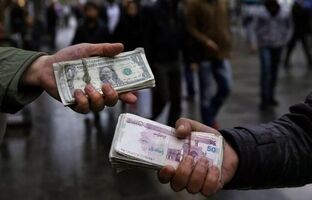 قیمت دلار بر می گردد/ دلالان به دنبال برهم زدن بازار هستند