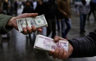 قیمت دلار بر می گردد/ دلالان به دنبال برهم زدن بازار هستند