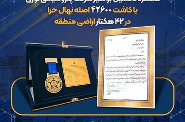 پیام مدیر عامل شرکت پتروشیمی نوری در پی انتخاب آیت الله سید مجتبی خامنه ای حفظه الله به عنوان رهبر انقلاب