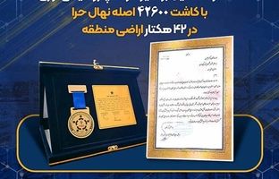 عملکرد تحسین برانگیز شرکت پتروشیمی نوری با کاشت ۴۲۶۰۰ اصله نهال حرا در ۴۲ هکتار اراضی منطقه