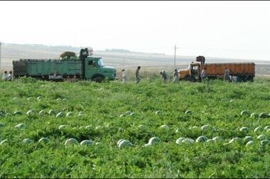بالغ بر ۲۰ هزار میلیارد ریال سرمایه گذاری در لجستیک و حمل ونقل منطقه آزاد ماکو  / ۱۴ پروژه مهم علمیاتی در ۶ ماهه اول سال