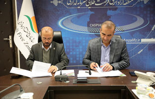 توسعه همکاری‌های گمرکی در منطقه آزاد انزلی