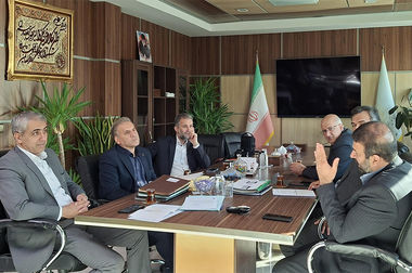 استفاده از ظرفیت‌های بخش ارزی برای جذب منابع پایدار