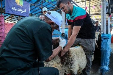 خدمات رسانی به شهروندان از ۸ صبح تا ۱۶ به صورت یکسره