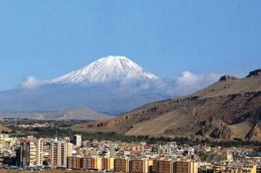 خبر خوب| آغاز اولین برداشت محصول گردو از باغات ۲۳۵۰ هکتاری شرکت آریا دشت در منطقه آزاد ماکو