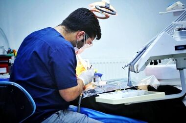  بازدید مدیرعامل بنیاد برکت از طرح‌های اشتغالزایی به مناسبت روز روستا