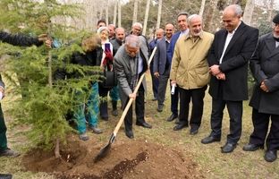 پویش بزرگ نهضت درختکاری با کاشت ۸۰۰ درخت در موزه‌های سعدآباد، دارآباد و نیاوران