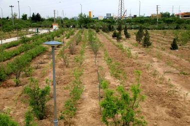 ‍ یادمان شهیدگمنام بوستان بزرگ ولایت آماده بهره برداری است