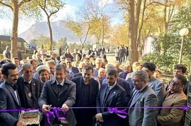 قطع گاز، مدول‌های احیا مستقیم فولاد مبارکه را متوقف کرد