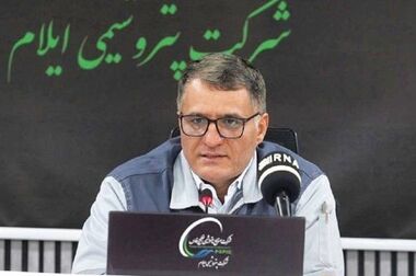 مدیرعامل پتروشیمی ایلام منصوب شد