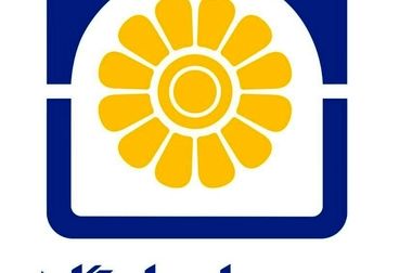 بیمه پاسارگاد؛ الگویی روشن از رشد و سودآوری در صنعت بیمه کشور