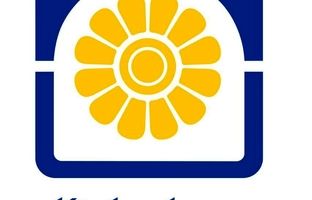 بیمه پاسارگاد، رتبه های تک رقمی، رشدهای دو رقمی