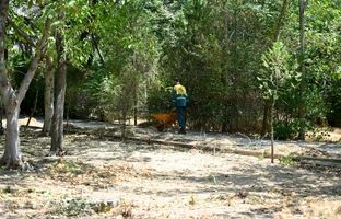 10 هزار مترمربع فضای سبز به بوستان های منطقه یک افزوده می شود