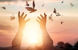 آزادی ۱۱۹ زندانی جرایم غیرعمد؛ ثمره مهربانی بی‌وقفه