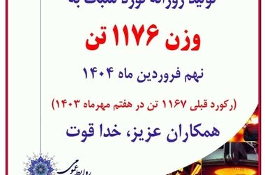 مدیرعامل جدید شرکت فولاد آلیاژی ایران منصوب شد