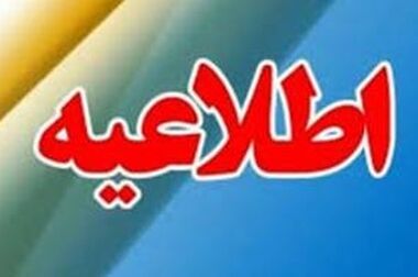 تشریح نحوه همکاری بانک توسعه صادرات ایران با شرکت‌های فولادی