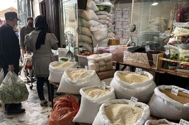 دفاع واردکنندگان از تصمیم دولت برای بازار برنج/ قیمت‌ها کاهش می‌یابد؟