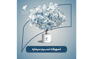 تشریح جزئیات پرداخت تسهیلات قرض‌الحسنه تا سقف ۳ میلیارد ریال در بانک سرمایه
