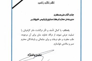 آغاز عرضه ارز پتروشیمی‌ها در سامانه ارز تجاری از هفته آینده